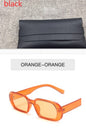 Retro Small Frame Sunglasses