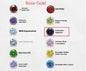 Zircon Birthstone Necklace - Trendy Radar